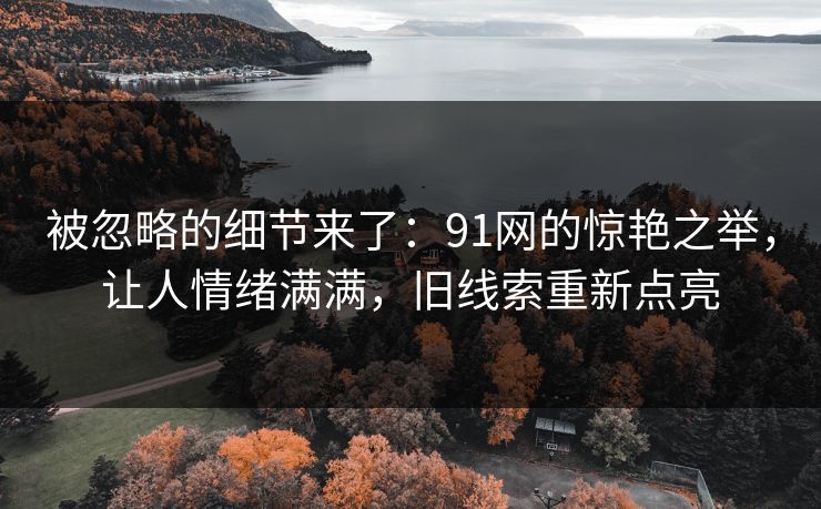被忽略的细节来了：91网的惊艳之举，让人情绪满满，旧线索重新点亮